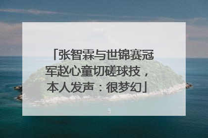 张智霖与世锦赛冠军赵心童切磋球技，本人发声：很梦幻