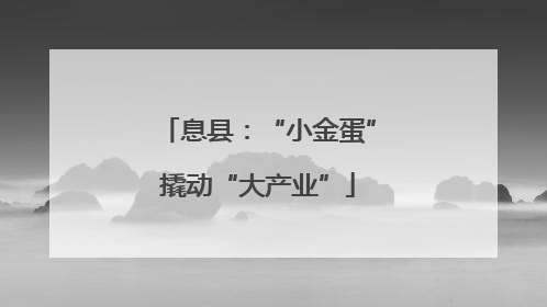 息县：“小金蛋”撬动“大产业”