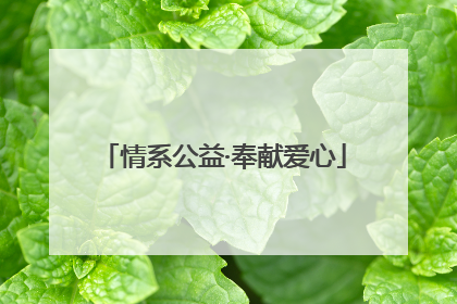情系公益·奉献爱心