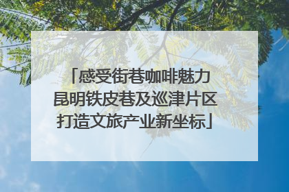 感受街巷咖啡魅力 昆明铁皮巷及巡津片区打造文旅产业新坐标