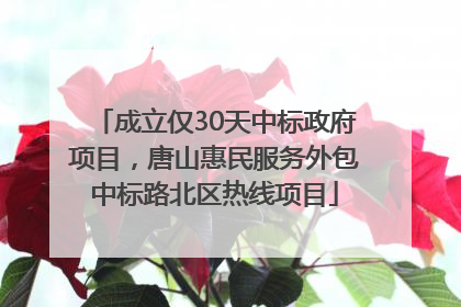 成立仅30天中标政府项目，唐山惠民服务外包中标路北区热线项目