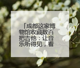 成都这家博物馆收藏数百把吉他：让音乐听得见，看得见