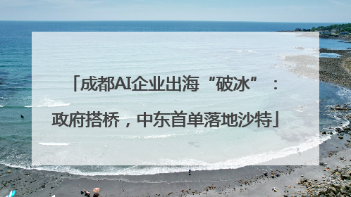 成都AI企业出海“破冰”：政府搭桥，中东首单落地沙特