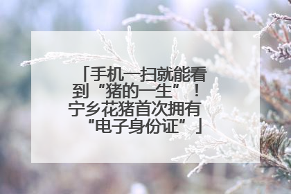 手机一扫就能看到“猪的一生”！宁乡花猪首次拥有“电子身份证”