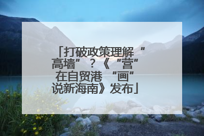 打破政策理解“高墙”？《“营”在自贸港 “画”说新海南》发布