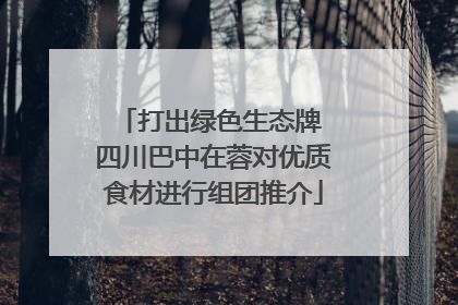 打出绿色生态牌 四川巴中在蓉对优质食材进行组团推介