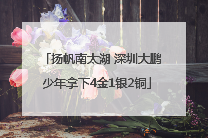 扬帆南太湖 深圳大鹏少年拿下4金1银2铜