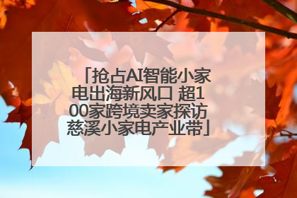 抢占AI智能小家电出海新风口 超100家跨境卖家探访慈溪小家电产业带