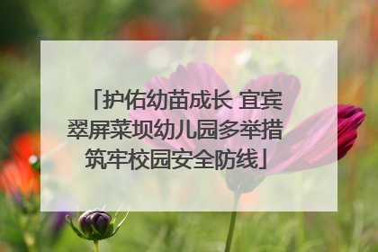 护佑幼苗成长 宜宾翠屏菜坝幼儿园多举措筑牢校园安全防线