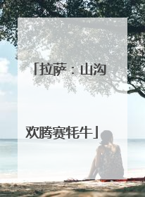 拉萨：山沟欢腾赛牦牛