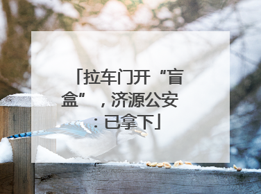 拉车门开“盲盒”，济源公安：已拿下
