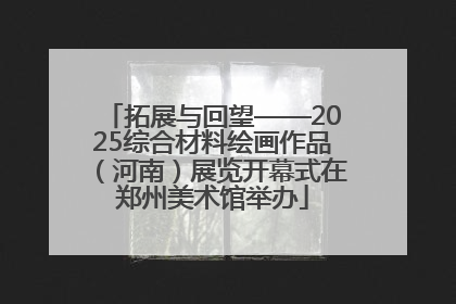 拓展与回望——2025综合材料绘画作品（河南）展览开幕式在郑州美术馆举办