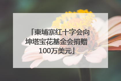 柬埔寨红十字会向坤塔宝花基金会捐赠100万美元