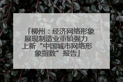 柳州：经济网络形象展现制造业重镇强力 上新“中国城市网络形象指数”报告