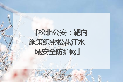松北公安：靶向施策织密松花江水域安全防护网