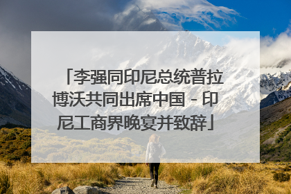 李强同印尼总统普拉博沃共同出席中国－印尼工商界晚宴并致辞