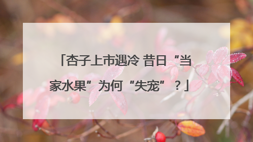 杏子上市遇冷 昔日“当家水果”为何“失宠”？
