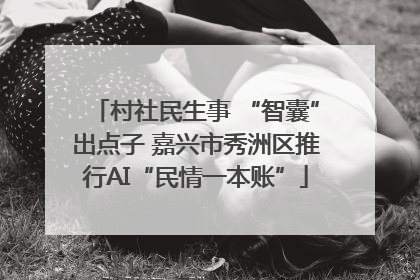村社民生事 “智囊”出点子 嘉兴市秀洲区推行AI“民情一本账”