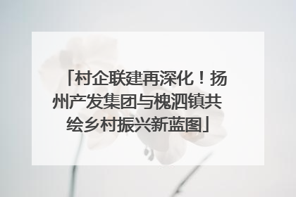 村企联建再深化！扬州产发集团与槐泗镇共绘乡村振兴新蓝图