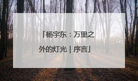 杨宇东：万里之外的灯光｜序言