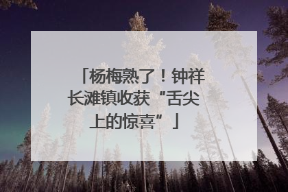 杨梅熟了！钟祥长滩镇收获“舌尖上的惊喜”
