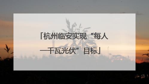 杭州临安实现“每人一千瓦光伏”目标