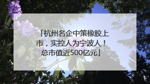 杭州名企中策橡胶上市，实控人为宁波人！总市值近500亿元