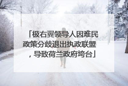 极右翼领导人因难民政策分歧退出执政联盟，导致荷兰政府垮台