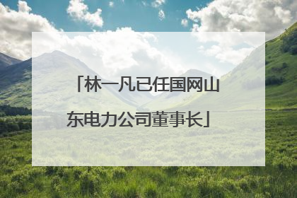 林一凡已任国网山东电力公司董事长