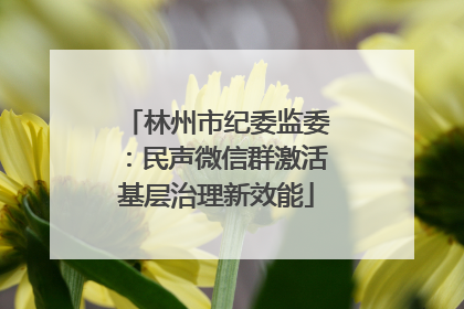 林州市纪委监委：民声微信群激活基层治理新效能