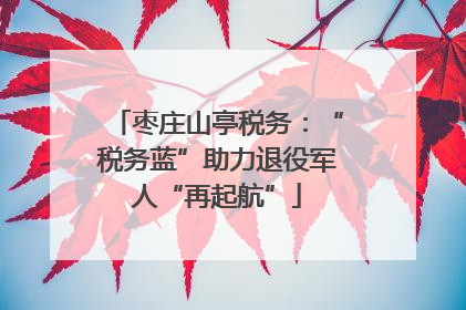枣庄山亭税务：“税务蓝”助力退役军人“再起航”