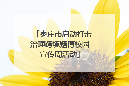 枣庄市启动打击治理跨境赌博校园宣传周活动