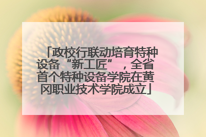 政校行联动培育特种设备“新工匠”，全省首个特种设备学院在黄冈职业技术学院成立