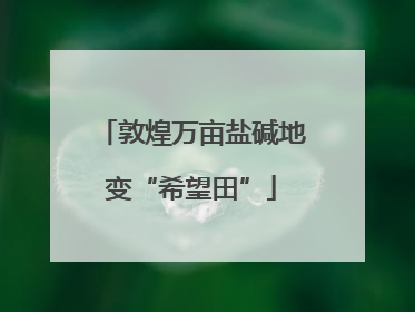 敦煌万亩盐碱地变“希望田”