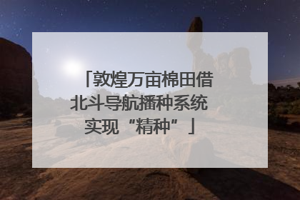 敦煌万亩棉田借北斗导航播种系统实现“精种”