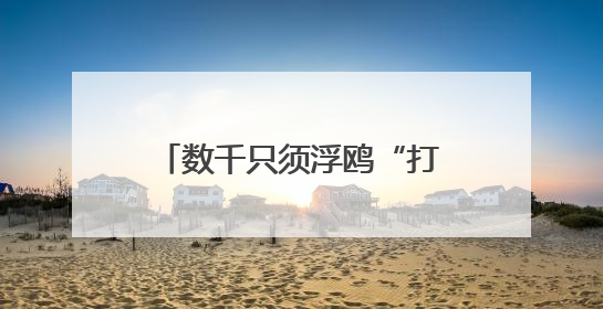 数千只须浮鸥“打卡”湖北枝江金湖 尽显生态美景