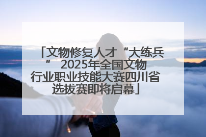 文物修复人才“大练兵” 2025年全国文物行业职业技能大赛四川省选拔赛即将启幕