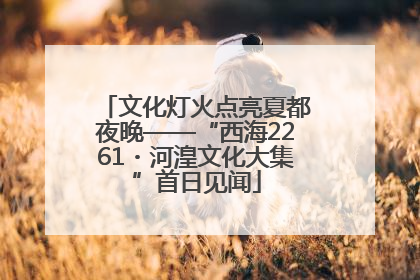 文化灯火点亮夏都夜晚——“西海2261・河湟文化大集”首日见闻