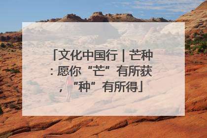 文化中国行｜芒种：愿你“芒”有所获，“种”有所得
