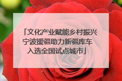 文化产业赋能乡村振兴 宁波援疆助力新疆库车入选全国试点城市