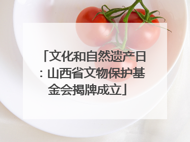文化和自然遗产日：山西省文物保护基金会揭牌成立