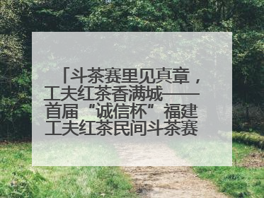 斗茶赛里见真章，工夫红茶香满城——首届“诚信杯”福建工夫红茶民间斗茶赛成功举办