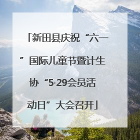 新田县庆祝“六一”国际儿童节暨计生协“5·29会员活动日”大会召开