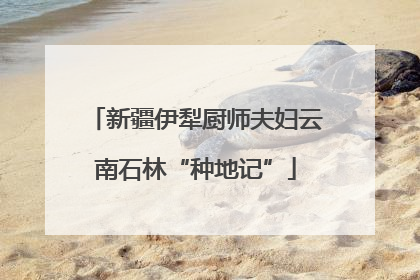 新疆伊犁厨师夫妇云南石林“种地记”