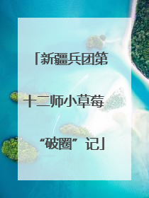 新疆兵团第十二师小草莓“破圈”记