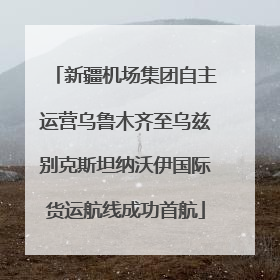 新疆机场集团自主运营乌鲁木齐至乌兹别克斯坦纳沃伊国际货运航线成功首航