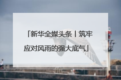 新华全媒头条丨筑牢应对风雨的强大底气