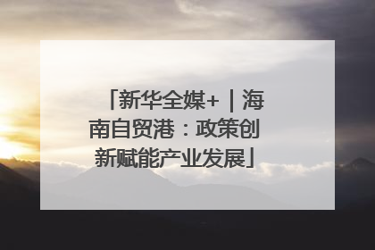 新华全媒+｜海南自贸港：政策创新赋能产业发展