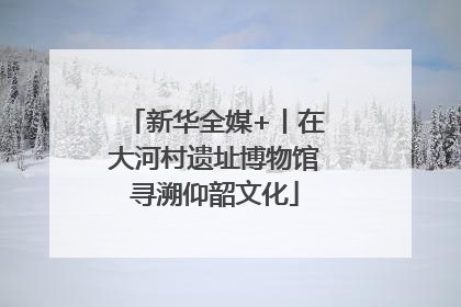新华全媒+丨在大河村遗址博物馆寻溯仰韶文化