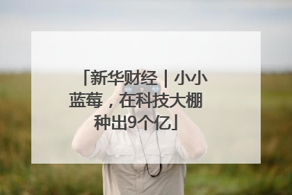 新华财经｜小小蓝莓，在科技大棚种出9个亿